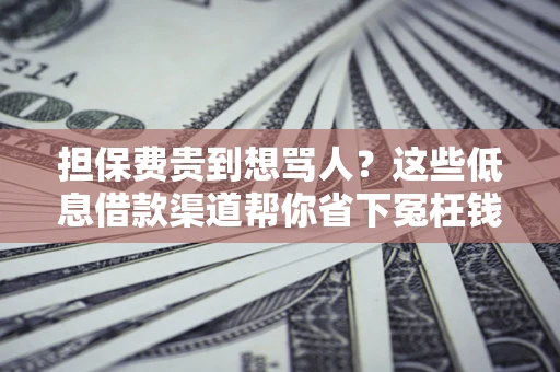 北京担保费贵到想骂人？这些低息借款渠道帮你省下冤枉钱