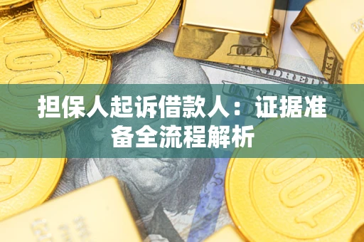 北京担保人起诉借款人：证据准备全流程解析