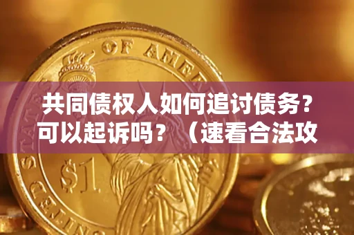 北京共同债权人如何追讨债务？可以起诉吗？（速看合法攻略）