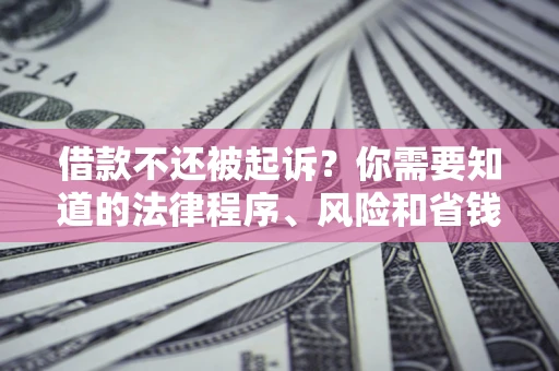 北京借款不还被起诉？你需要知道的法律程序、风险和省钱技巧
