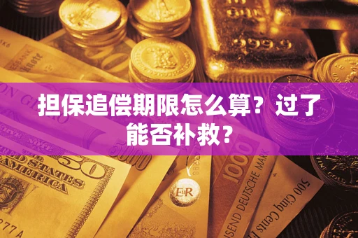 北京担保追偿期限怎么算？过了能否补救？